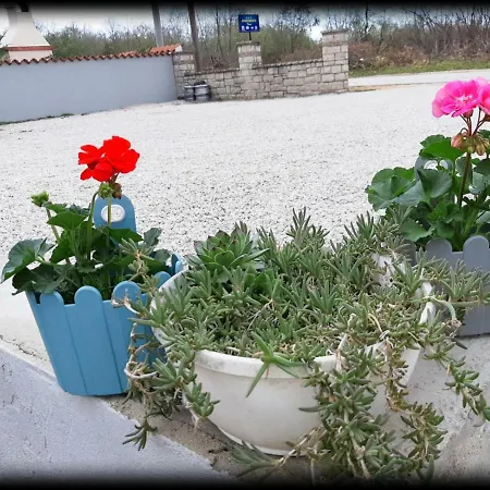 Dora * Poreč