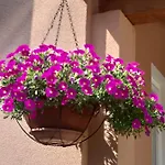 Dora Appartamento Porec