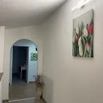 Dora