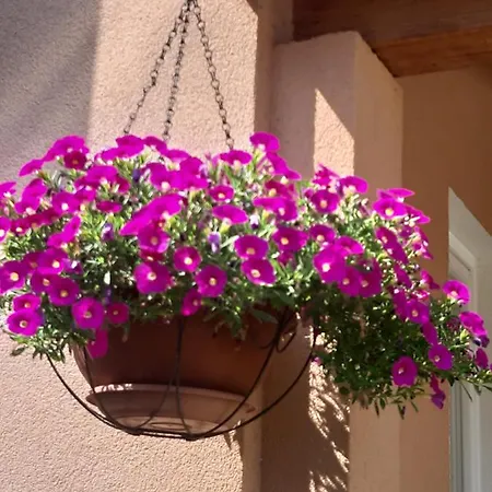 Dora Apartman Porec