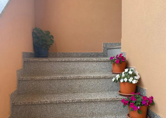 Dora Πόρετς